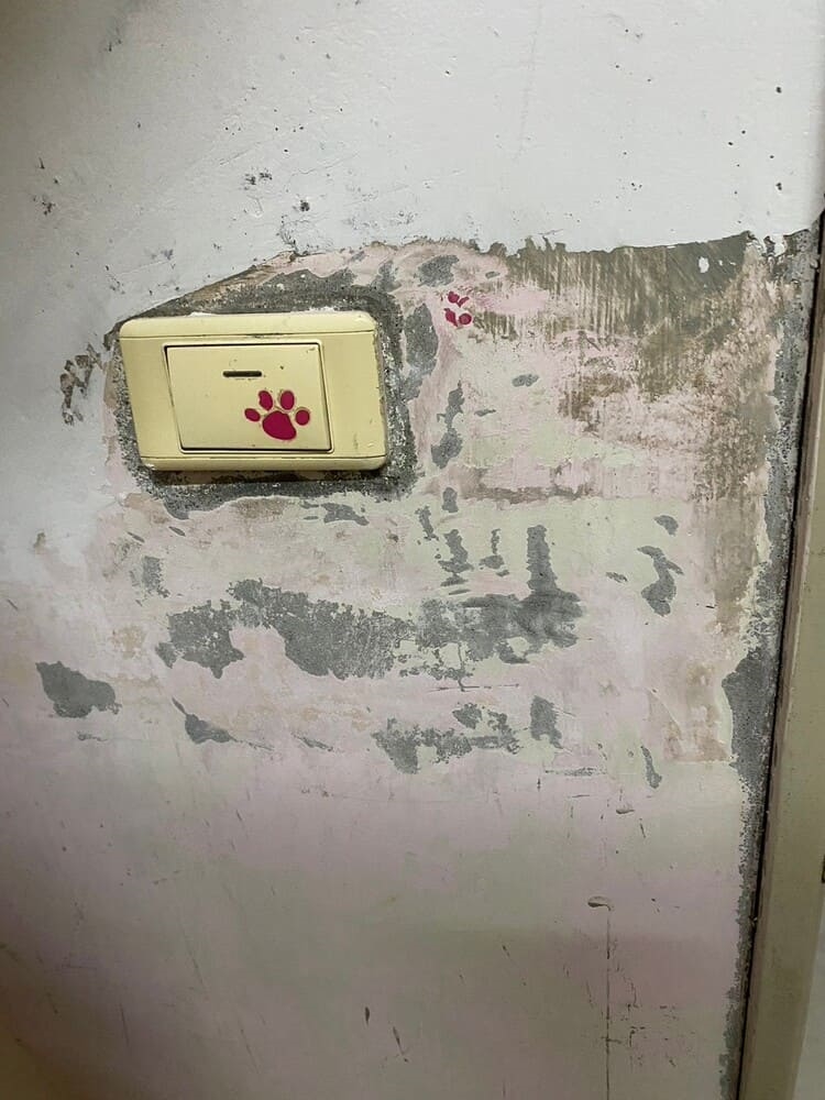 桃園壁癌處理-八德壁癌處理案例(圖一)